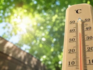 太陽の木漏れ日と温度計
